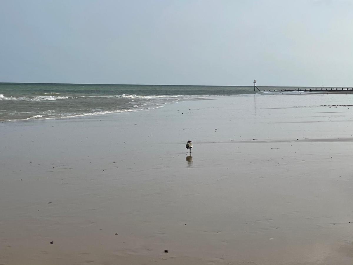 The Beach House - Cromer Luaran gambar